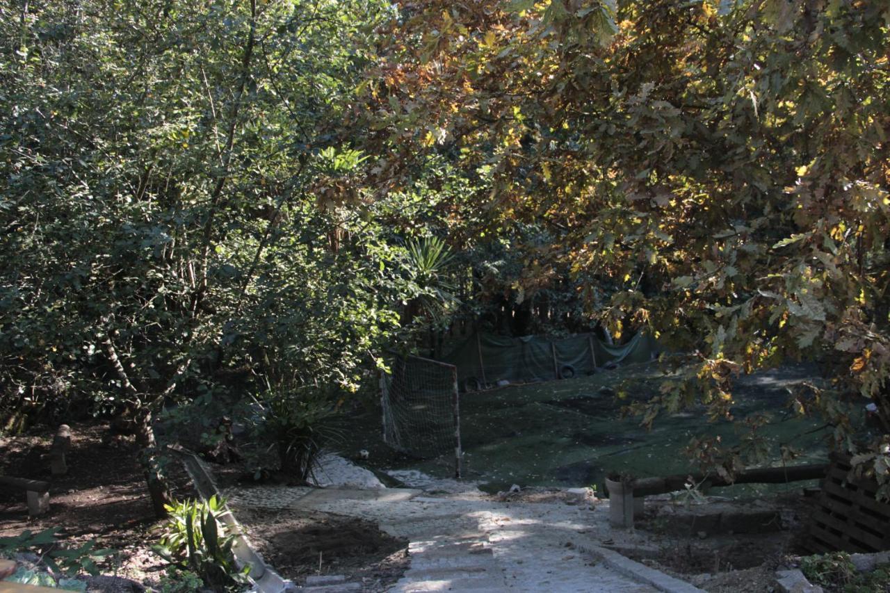 Vila Bosque Dos Amieiros Marco de Canavezes Exteriér fotografie