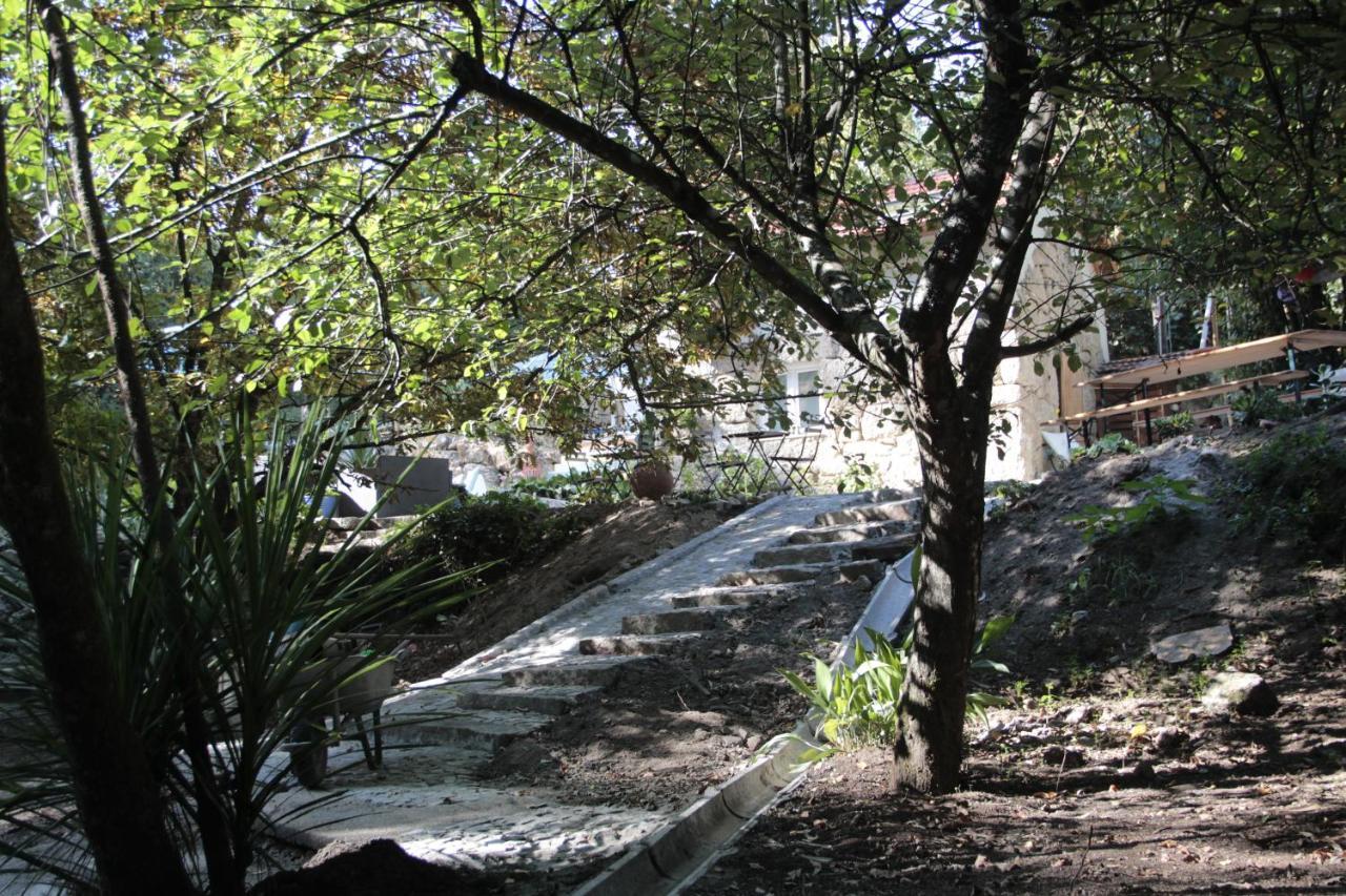 Vila Bosque Dos Amieiros Marco de Canavezes Exteriér fotografie