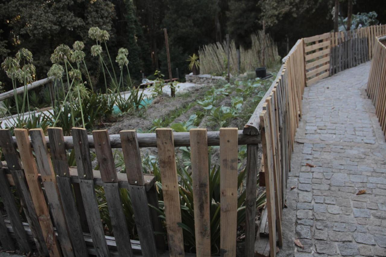 Vila Bosque Dos Amieiros Marco de Canavezes Exteriér fotografie